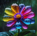 Rain Drop Flower