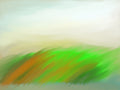Misty Wetland